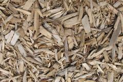 biomass boilers Bickleywood